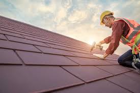 Best Roof Maintenance and Cleaning  in Pato, WA